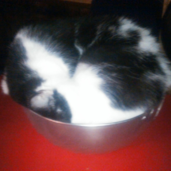 Meet your Posher, Qetsiyah - Picture 5 of 8